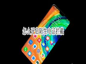 我来分享手机怎么开启陌生电话拦截。