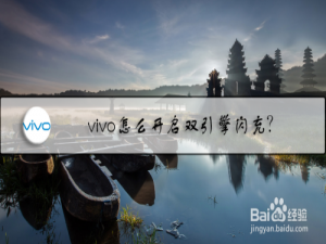 我来分享vivo手机双引擎闪充功能怎么设置。