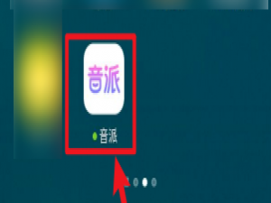 我来分享音派怎么反馈问题。