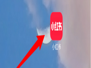 我来分享小红书背景图怎么更换。