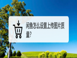 我来分享闲鱼怎么上传高清图片。