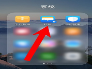 我来分享华为钱包花币开通流程介绍。