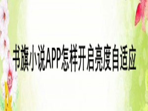 我来分享书旗小说在哪设置亮度自适应。