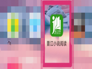 我来分享晋江小说阅读缓存怎么清理。