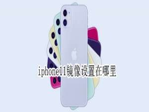 我来分享ios14系统在哪进行镜像设置。