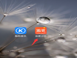 我来分享追更小说app连载通知在哪开启。