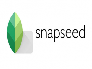 我来分享snapseed局部工具怎么使用。