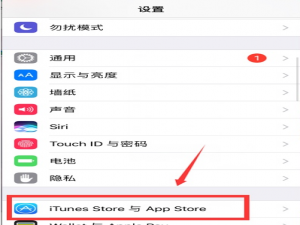 我来分享ios14系统自动续费如何取消。