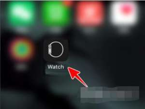我来说说AppleWatch如何升级到watchOS8。