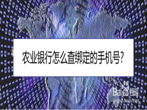 我来说说农业银行app如何查询个人移动电话信息。