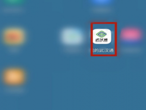 我来说说我的武汉通如何看公交详情。