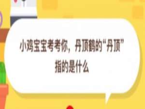 我来说说丹顶鹤的丹顶指的是什么。