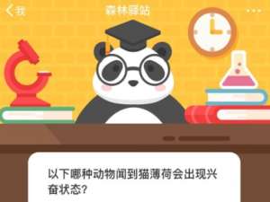 我来说说以下哪种动物闻到猫薄荷会出现兴奋状态。