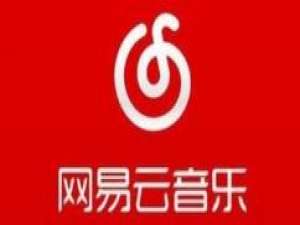 我来说说网易云音乐歌词怎么显示在屏幕上。
