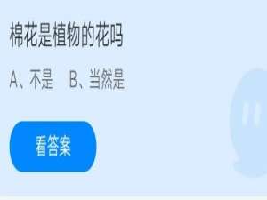 我来说说棉花是植物的花吗。