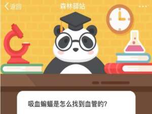 我来说说吸血蝙蝠是怎么找到血管的。