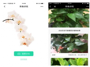 我来说说一波小程序，不比手机APP体验差