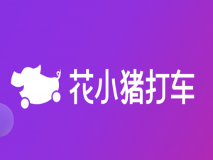我来说说花小猪司机订单多吗。