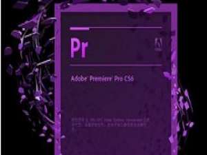 我来说说Adobe Premiere Pro CS6制作望远镜效果的具体操作