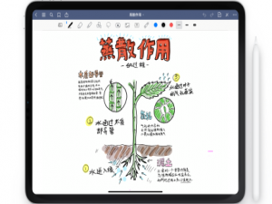 我来说说goodnotes怎么删除链接