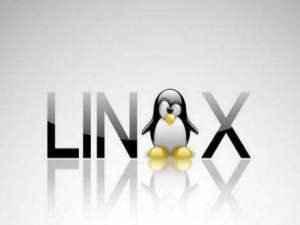 我来说说Linux是什么（linux是什么软件）