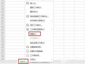 我来说说wps表格标签怎么隐藏（WPS表格隐藏）