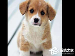 我来说说PS人物多重镜像怎么做