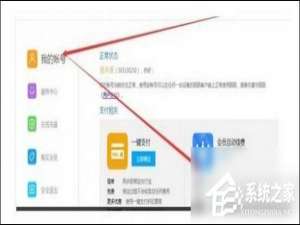 我来说说陌陌会员自动续费如何取消