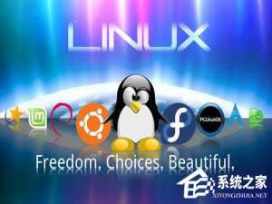 我来说说Linux系统如何查看和结束进程（linux系统如何查看版本）