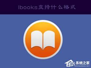 我来说说ibooks支持什么格式（ibooks支持什么格式的书籍）