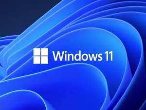 我来说说Win11的更新文件在哪里（Win11系统更新文件在哪）