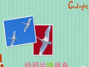 我来说说美图秀秀怎么把蓝底照片变成白底