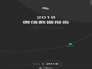 我来说说2018微信年度数据报告我来说说