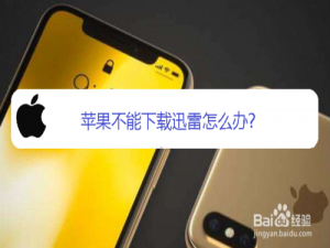 我来说说苹果不能下载迅雷如何解决。