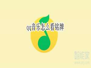 我来说说qq音乐如何查看铭牌。
