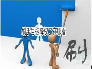 我来说说刷手号被降权了在什么位置查看。