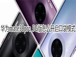 我来说说mate30pro5G版如何开启口袋模式。