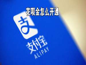 我来说说如何开通支付宝花呗金。