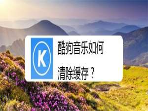 我来说说酷狗音乐怎么清除缓存。