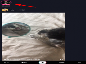 我来说说在抖音中加别人粉丝团的方法介绍。