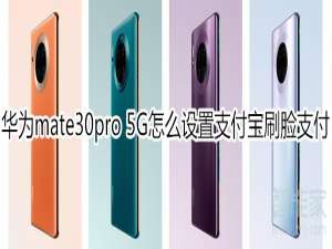我来说说mate30pro 5G版如何设置支付宝刷脸支付。
