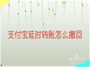 我来说说支付宝延时转账如何撤回。