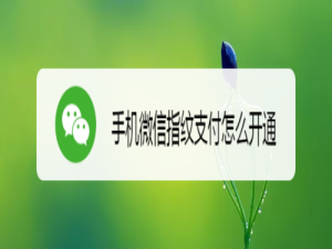 我来说说手机微信指纹支付如何开通。