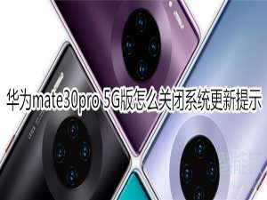 我来说说mate30pro5G版如何关闭系统更新提示。