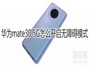 我来说说mate30 5G版如何打开无障碍模式。