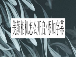 我来说说美颜相机字幕怎么开启。