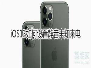 我来说说ios13静音未知来电怎么设置。