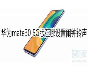 我来说说华为mate30 5G版如何设置闹钟铃声。