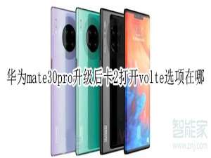 我来说说mate30pro升级后卡2打开volte选项在什么位置。