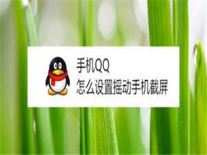 我来说说手机QQ在哪打开摇动手机截屏。